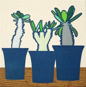 exid132975wid113577 / forma (Pachypodium) #4