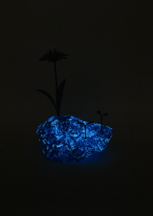 古賀 真弥/石に咲く