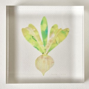 exid129837wid112300 / Turnip Ⅱ