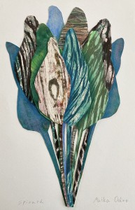 exid131329wid112754 / Spinach