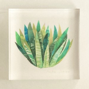 exid131060wid112500 / Succulents Ⅵ