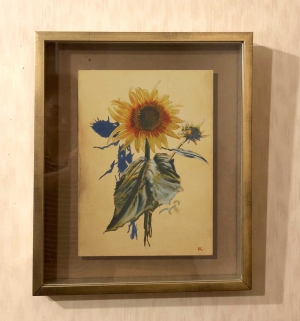 黒沼大泰/sunflower