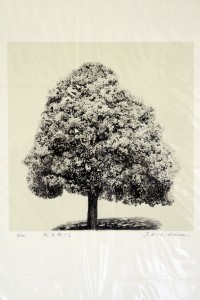 exid116405wid101409 / 或る日 Ⅰ