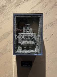 exid126986wid110850 / DOGULE SUIT beginning 004 (AD4000)