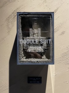 exid126990wid110854 / DOGULE SUIT beginning 007 (AD4000)