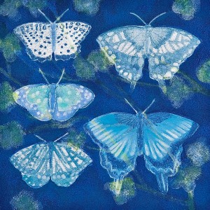 exid120069wid104502 / 青空の蝶たち