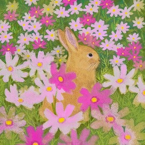 exid120071wid104504 / 野うさぎとコスモス