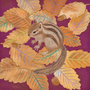 exid120072wid104505 / シマリスとどんぐり