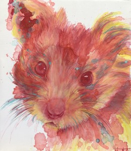 exid112529wid97597 / しかたないなぁ