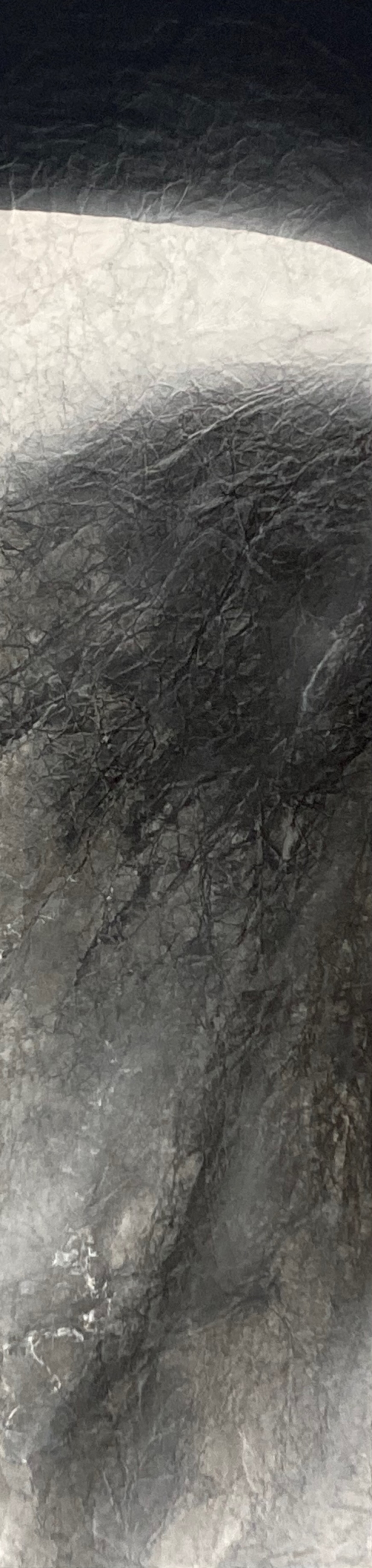 井上神節/氷山/exid69623wid63098