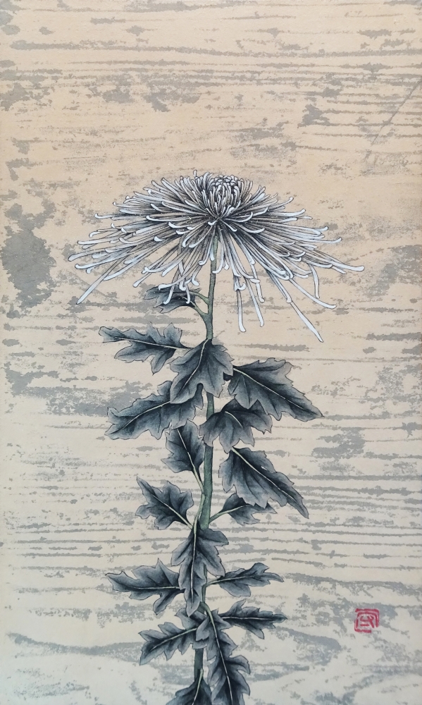 近藤 守/糸菊/exid80587wid70824