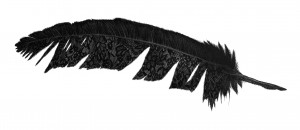 exid125902wid109829 / Feather Lace