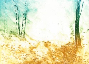 exid121109wid105256 / 木立