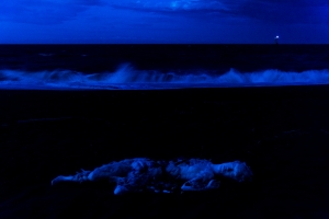 カトウアヤコ/連続的存在へ