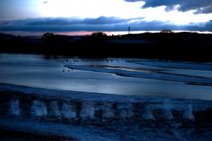 カトウアヤコ/連続的存在へ