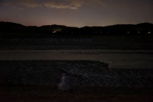 カトウアヤコ/連続的存在へ