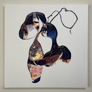 exid120553wid104731 / Saeko