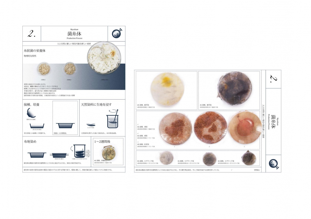 王 智恒/「共生」No.2 -「菌糸体」/exid94841wid77848