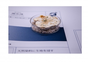 王 智恒/「共生」No.2 -「菌糸体」