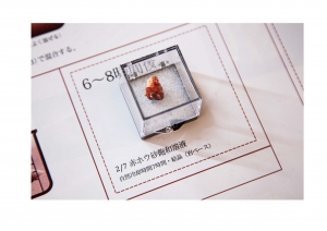 王 智恒/「共生」No.3 -「塩結晶」