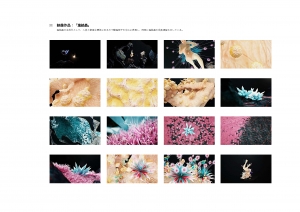 王 智恒/「共生」No.3 -「塩結晶」