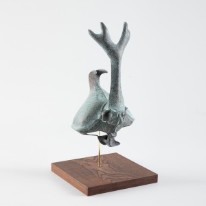 exid120355wid101310 / カブトムシ