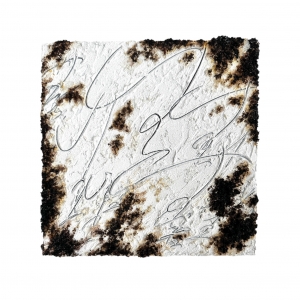 exid111793wid97024 / 生きる 10