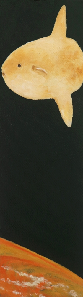 藤田まりこ/宇宙旅行  (右)/exid97304wid83608