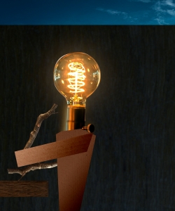 exid120217wid98088 / idea Man