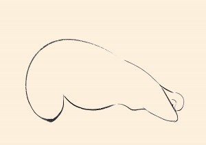 exid118232wid102728 / たしかめる