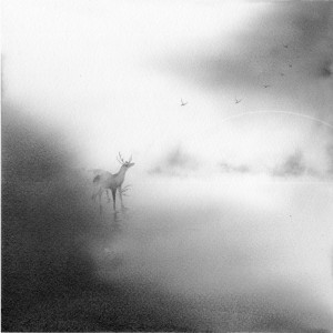 exid116927wid101931 / 追想