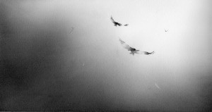 exid118908wid103404 / 光へ