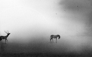 exid118912wid103408 / 巡り巡れど