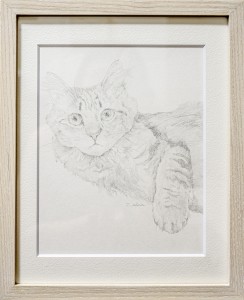 exid118927wid103423 / みつめる