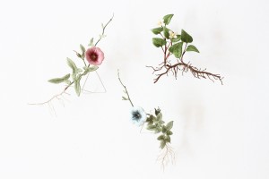 exid120312wid100269 / 自由