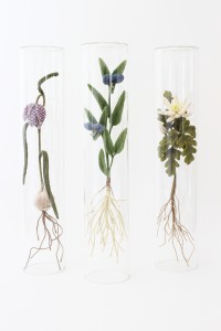 exid120313wid100270 / 支配