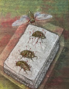 exid119081wid103577 / 迷い子