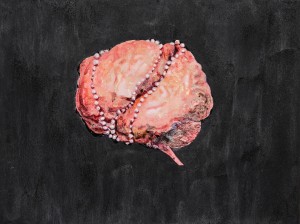 exid119926wid104359 / 真珠大脳