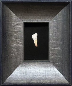 exid119474wid103907 / 成長の宝物