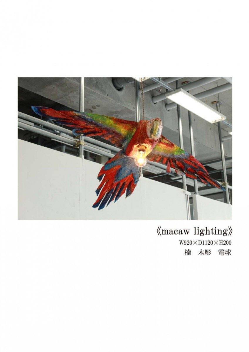 あおたやまと/macaw lighting/exid126780wid110644