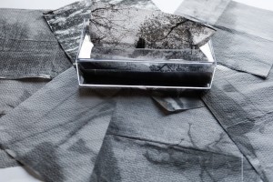 exidwid110812 / 