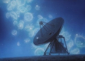 exid111823wid97054 / 彼方からの手紙