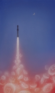 exid111835wid97066 / 月へ