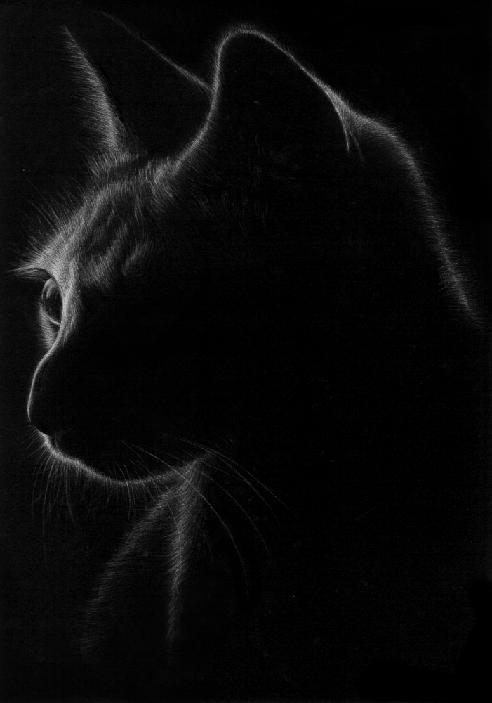 日向夏/明るい夜2/exid111543wid94790