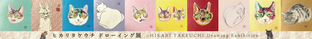 ヒカリタケウチ ドローイング展