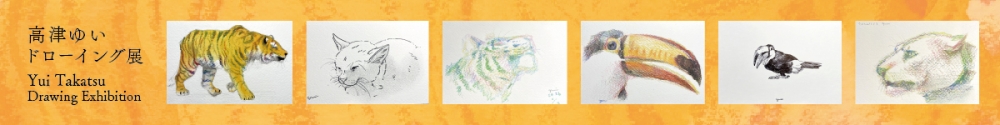 高津ゆいドローイング展
