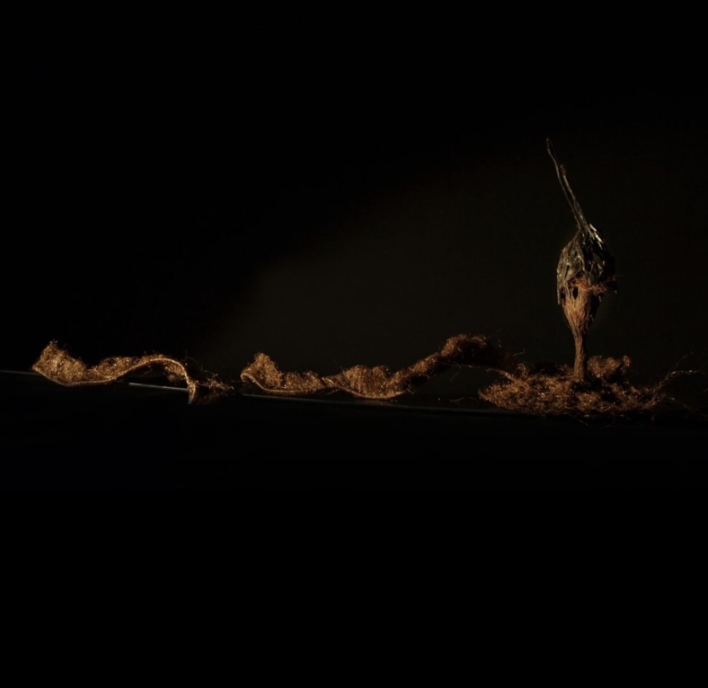 Yoko ishikawa Yoko ishikawa