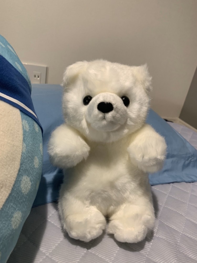 鳥羽 健作 鳥羽 健作