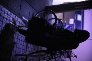 ワタナベ ユウヤ