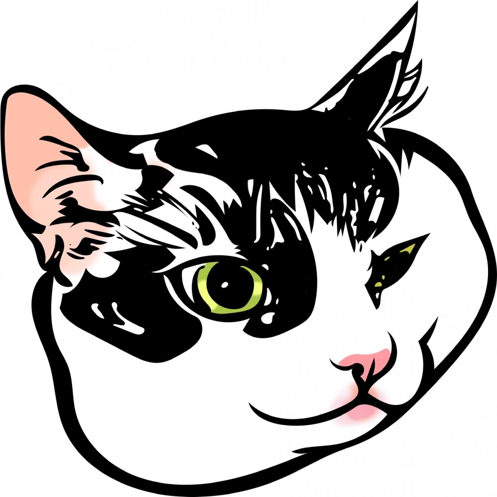 ヒカリタケウチ